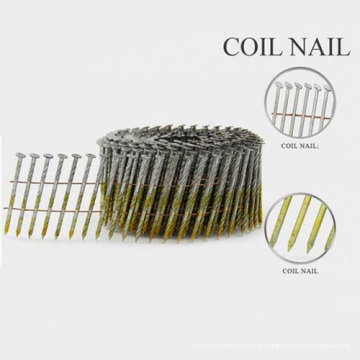 Neues Design Jumbo Coil Nail mit guter Qualität